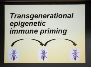 Epigenetic finetuning
