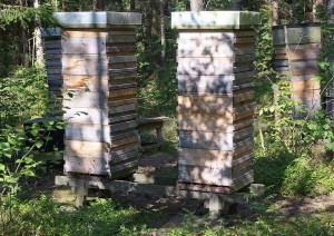 Str Good Apiary