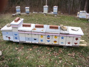 Reid Hives&Nucs