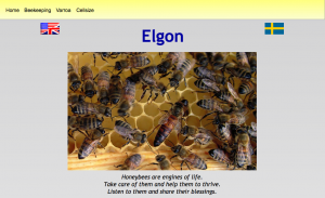 elgon-website