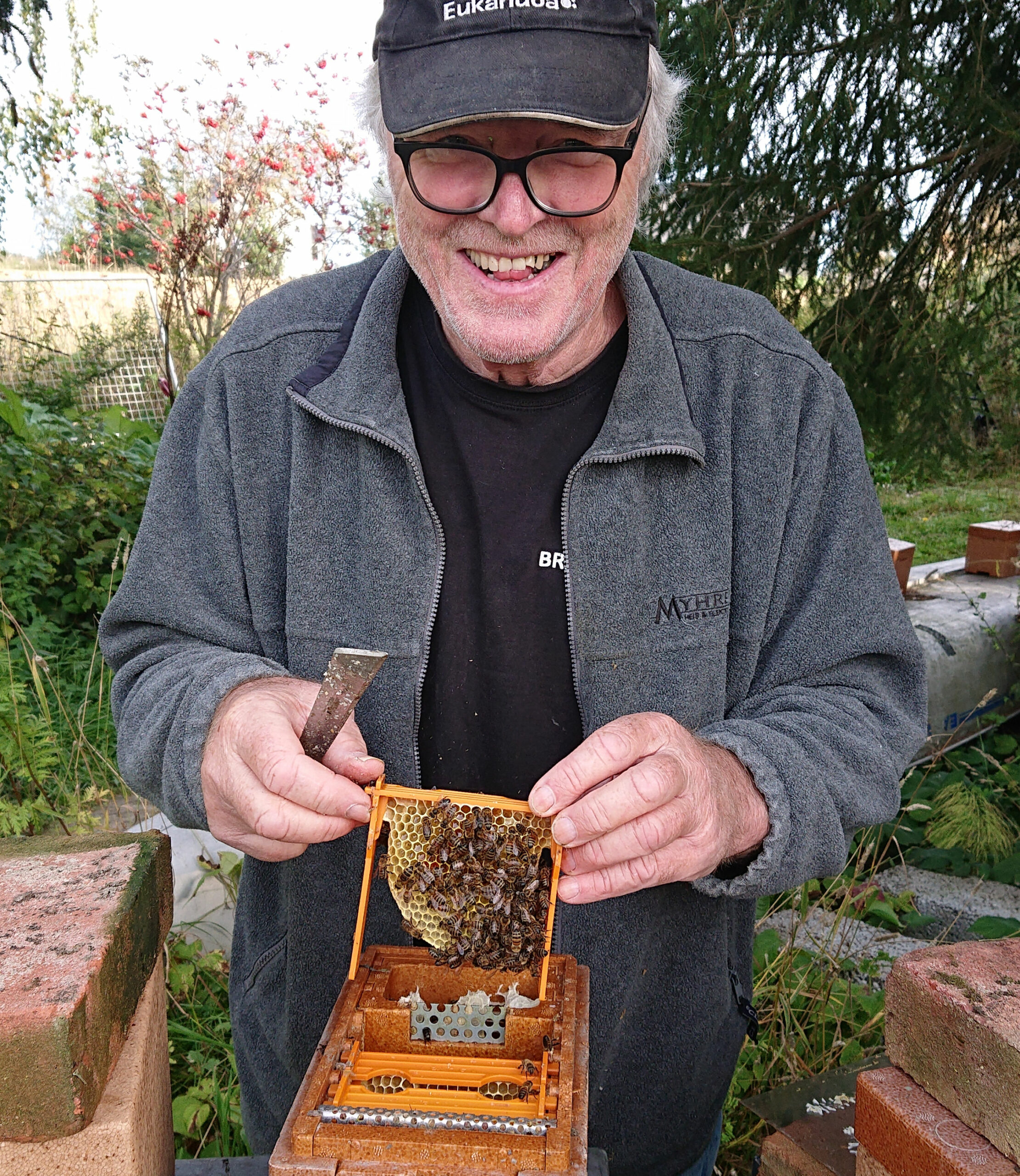 Treatment-Free Beekeepers